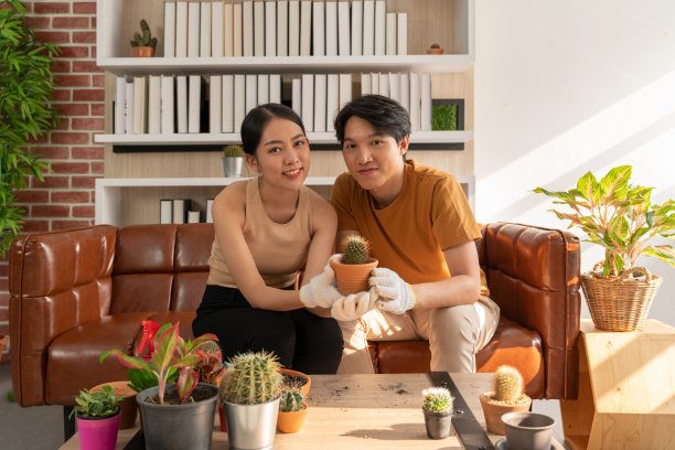 快乐的亚洲夫妇在周末的空闲时间一起在客厅照看仙人掌图片下载