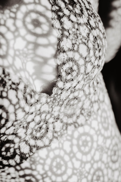 穿着蕾丝内衣的娇嫩肌肤的女人图片下载