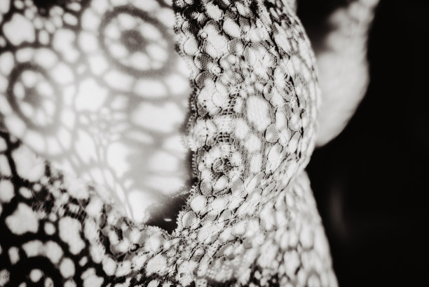 穿着蕾丝内衣的娇嫩肌肤的女人图片下载