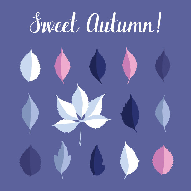 与秋叶孤立的白色图片下载