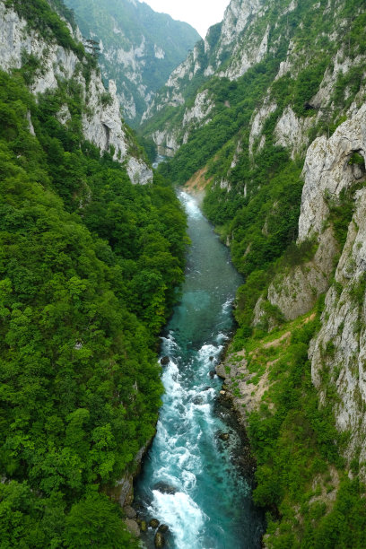 峡谷中的绿色森林，碧绿的河水从上面急速流过。图片下载