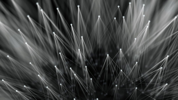 光滑的技术表面像蒲公英。丛式连接线和点。图片下载