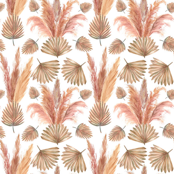 在白色孤立的背景上与热带叶子和潘帕斯草的图案。水彩插图图片下载