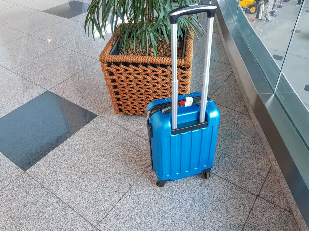 一个带轮子的蓝色行李箱，放在一个现代化的机场或火车站的大理石地板上，背景是一个带花的大柳条花盆。开放边界和旅行的概念图片下载