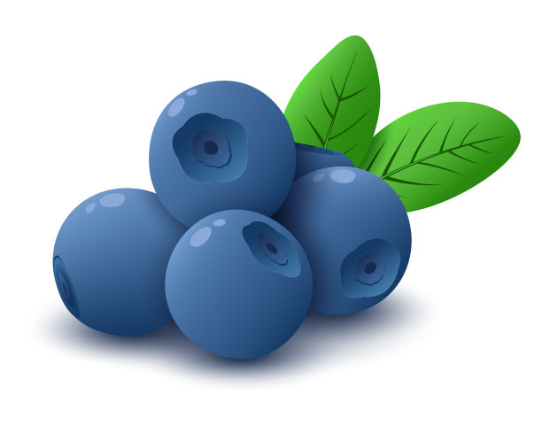 带有绿色叶子的蓝莓。健康的天然食品。在白色背景上隔离图片下载
