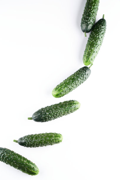 一组新鲜全黄瓜在白色背景，食物模式。花园黄瓜墙纸背景设计图片下载