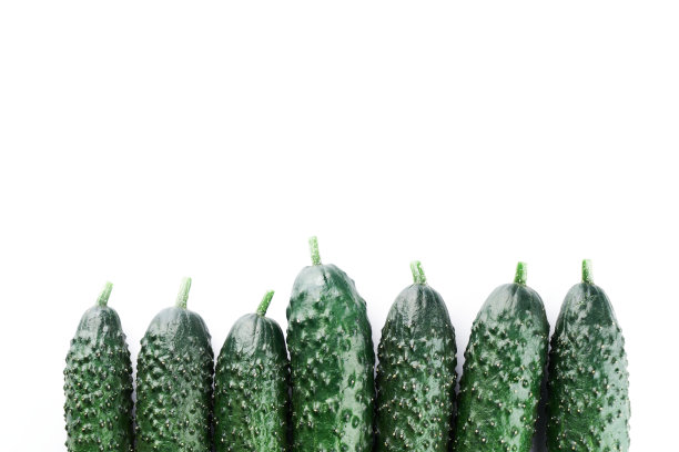 一组新鲜全黄瓜在白色背景，食物模式。花园黄瓜墙纸背景设计图片下载