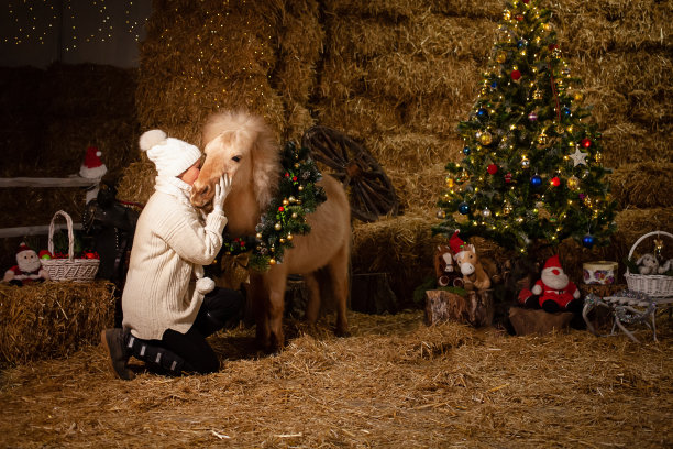 马厩上的圣诞装饰品。脖子上戴着花环的小马。圣诞树和气球，新年照片区。老妇亲吻马图片下载