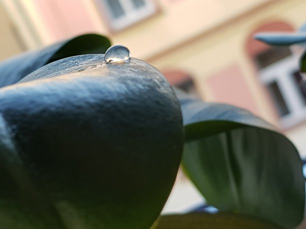 小钻石滴在石头上图片下载