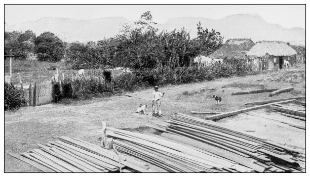 古老的黑白照片:新赫罗纳，青年岛图片下载