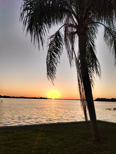 棕榈湾图片下载