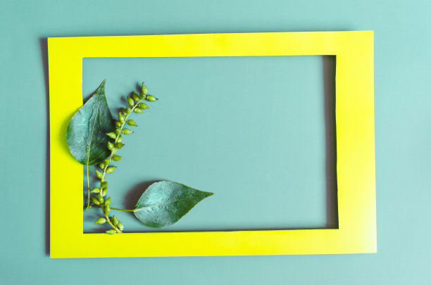 黄色的纸框上装饰着绿色的树叶和树枝，背景是彩色的。平莱亮黄色框架和树叶装饰。图片下载