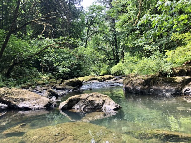 拉卡马斯小溪图片下载