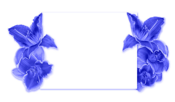 框架与蓝色的花。图片下载