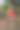 42岁巴西妇女在一个公共广场上举着哑铃做固定弓步运动(正面图片)。图片下载