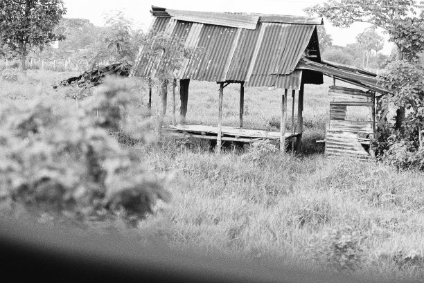 黑色和白色模拟底片卷照片从伊尔福德潘400图片下载