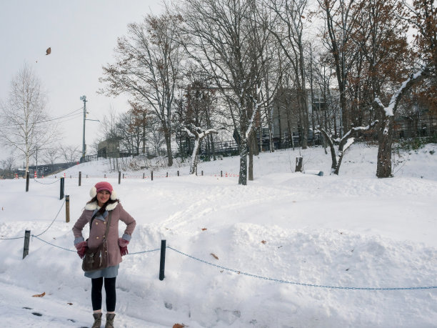 城市的景观，树和土地被雪覆盖，站在亚洲女性游客的冬季大衣图片下载