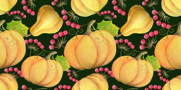 秋天的南瓜果实带有红色的浆果图片下载