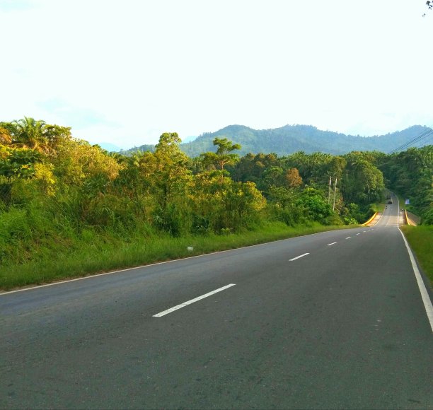 寂静的道路图片下载