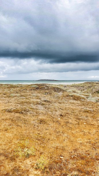 沙丘之后的海洋图片下载