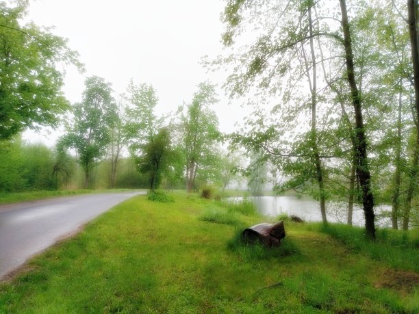 狭窄潮湿的道路图片下载