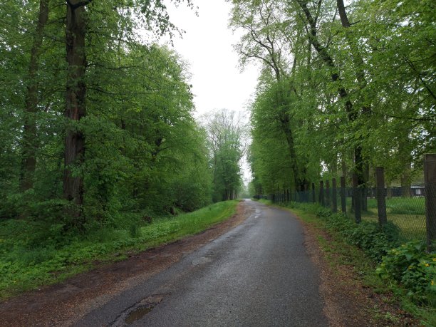 狭窄的街道图片下载