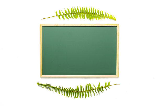 蕨叶，小黑板，图片文字广告。图片下载