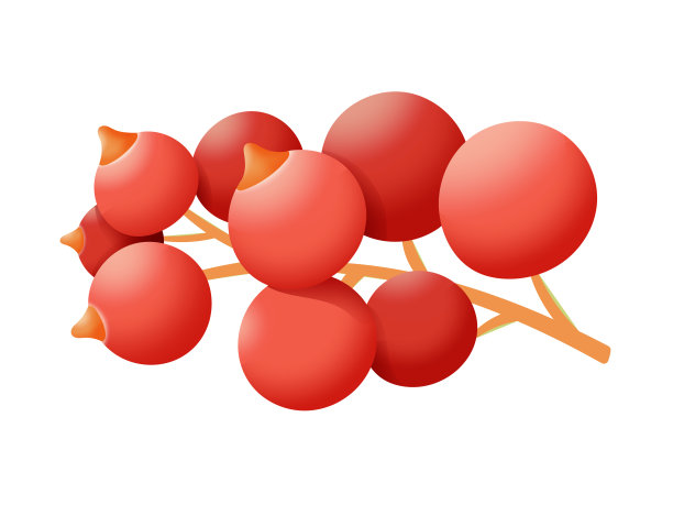 红醋栗浆果矢量设计。新鲜季节的健康食品孤立在白色的背景图片下载