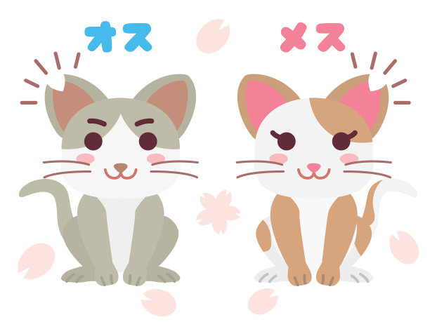 插图中的这对本地猫被剪了一只耳朵和一个日本字母。图片下载