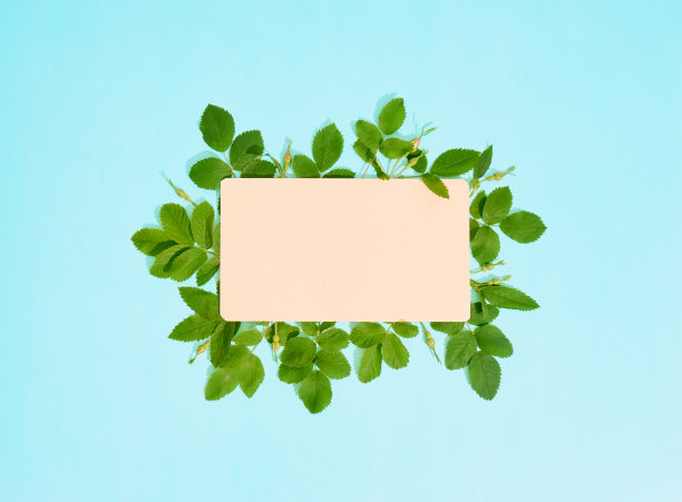 纸张和树叶。图片下载