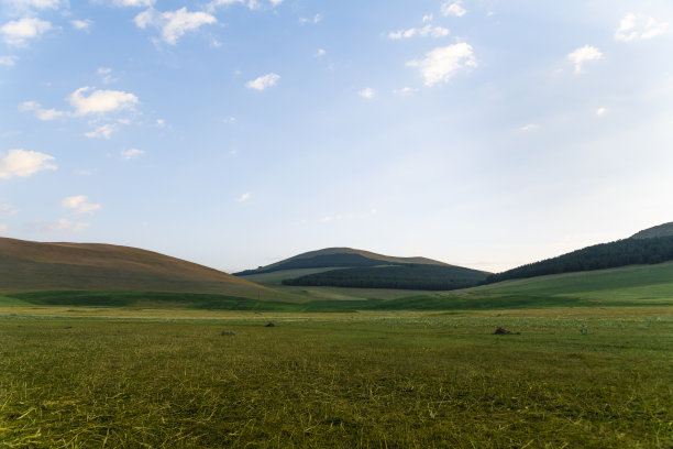 美丽的夏天的风景。日出时的青山、森林和山峦。自然壁纸图片下载