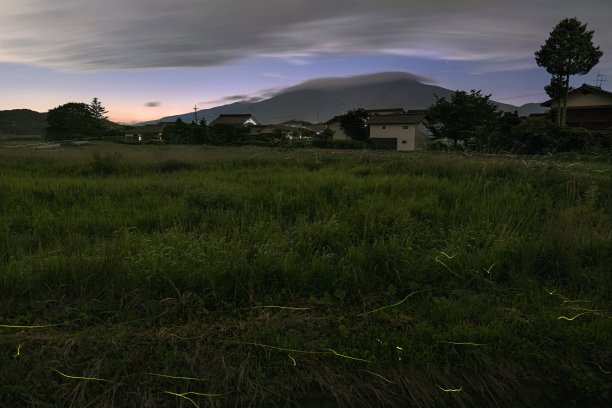 萤火虫和浅山在轻井泽镇，日本长野县图片下载