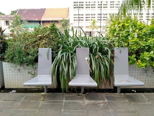 背景是带有树叶和历史建筑的铁椅子图片下载