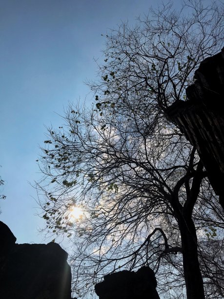 禅寺的天空图片下载