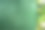 一套新鲜的绿色蔬菜图片下载