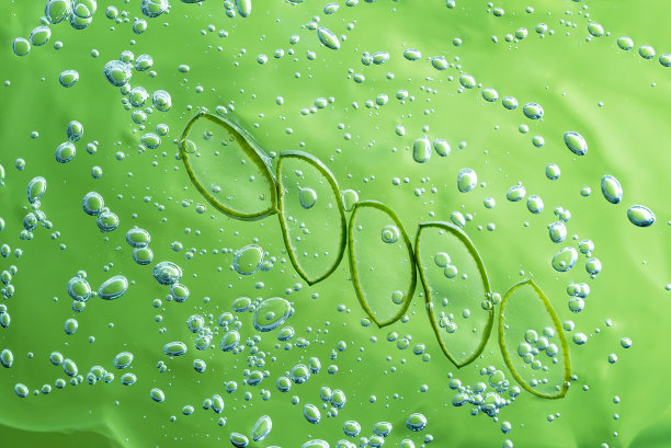 芦荟切片纹理与凝胶在蓝色背景。图片下载