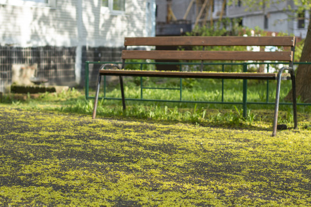 春天的花粉洒在路上。城里开花的树木。图片下载