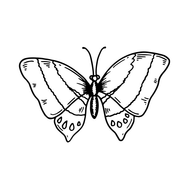 手绘蝴蝶孤立的白色。矢量插图在素描风格图片下载