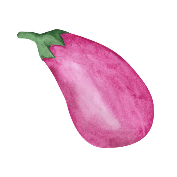 水彩茄子孤立在白色的背景。手绘蔬菜插图为您的设计。收获的对象。茄子剪纸艺术。有机成分示意图。夏季新鲜食品。图片下载