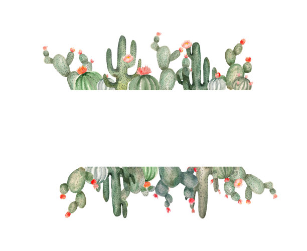水彩模板从野生生长的仙人掌。植物元素的框架，文本放置图片下载