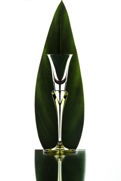 玻璃与树叶的背景图片下载