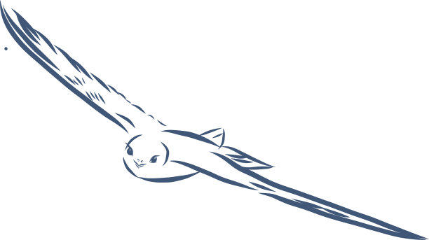 等高线手绘燕子-黑白图片下载