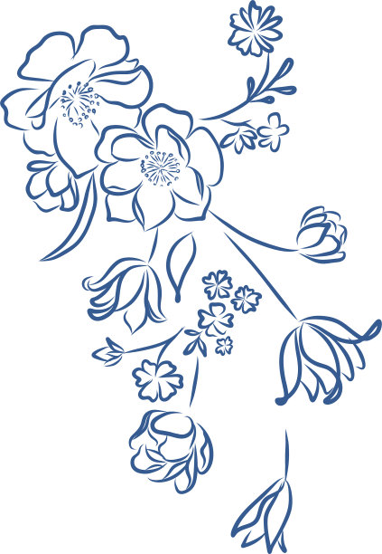 植物卡与野花叶子春天图片下载