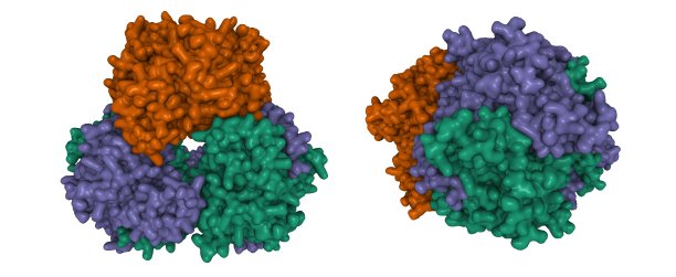 人博莱霉素水解酶的结构图片下载