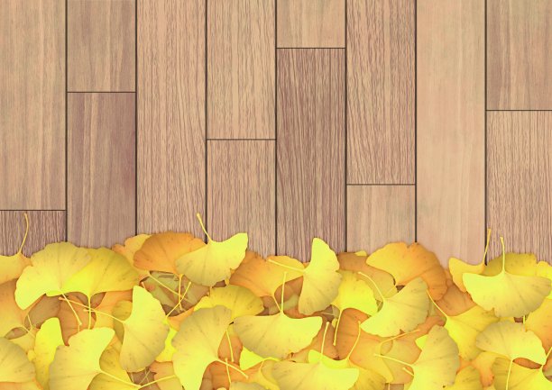 图解银杏叶散落在一块板上图片下载