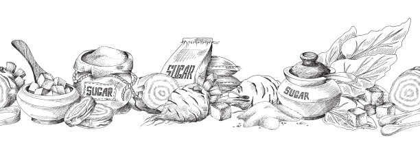 矢量复古无缝旗帜与甜菜根和糖图片下载