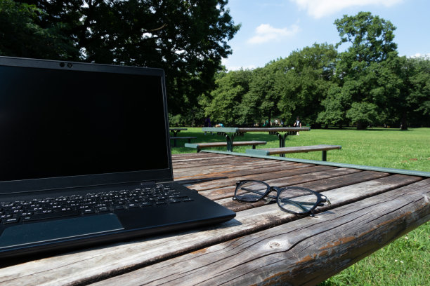 在美丽的公园远程工作图片下载
