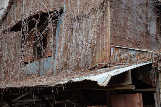 被死植物覆盖的废弃仓库图片下载
