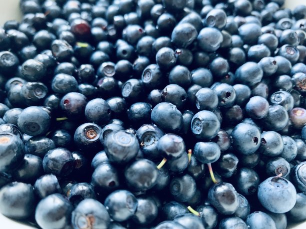 蓝莓的背景图片下载