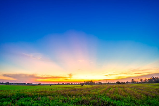 美丽的绿色田野玉米田或玉米在亚洲国家农业收获与日落天空的背景。图片下载